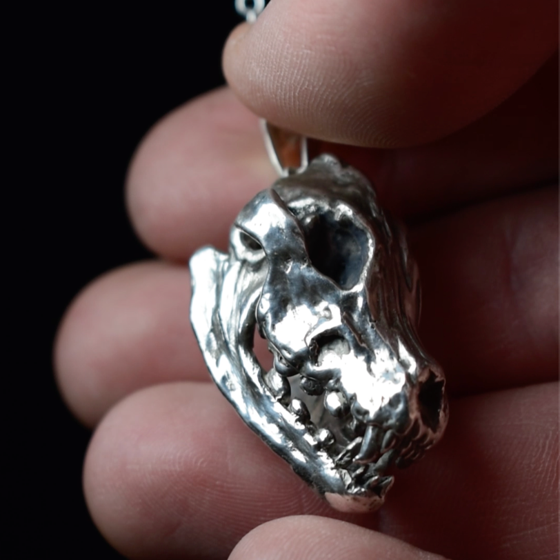 Pendentif crane de loup en argent philoculus lupus